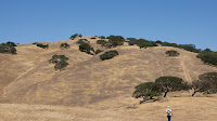 DSC02979.jpg