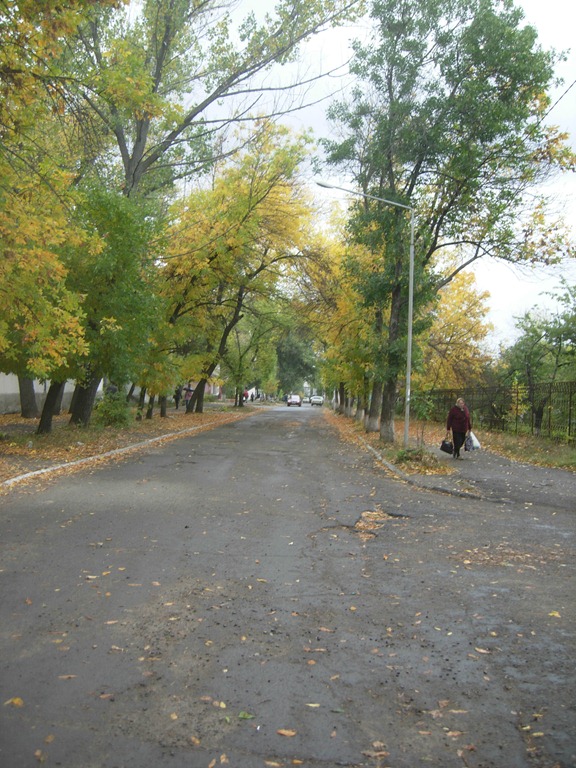 [DSCN06783.jpg]