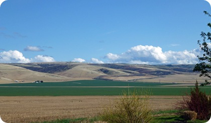 field