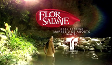 flor salvaje , capítulo , capítulos online