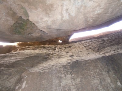 DSCN3913.jpg