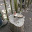 Thema Herfst