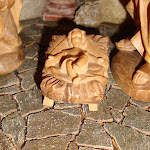 1537-8.JPG