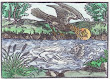 Woodcut 21 From The Prognostications Of Paracelsus
