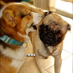 DSC00134.JPG