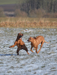 DSC_4970.JPG