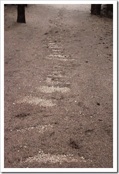 IMG_1743 IMG_1743