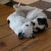 DSCN0159.JPG