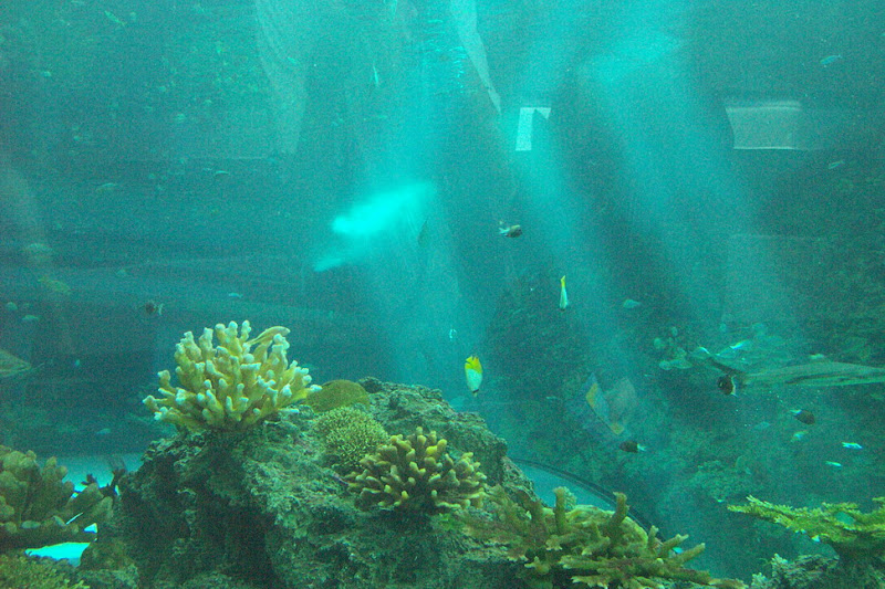 img_021.jpg