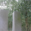 eerstes zwin 2011 011.jpg