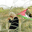 Palestine,La Nakba continue