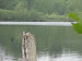 DSC02576.JPG