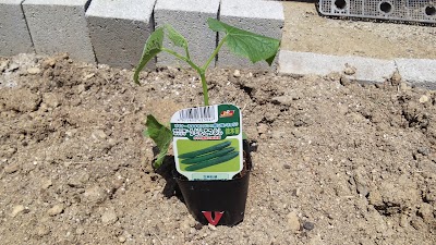 2014-05-04 12.54.55.jpg