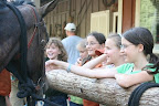 We really loved the horses. Here we visited with one tied up at a hitching rail on Main Street