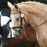 pcn-turnier-2011-002.jpg