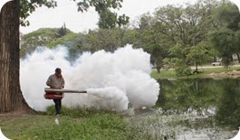 Comenzó la fumigación en toda La Costa contra el Dengue
