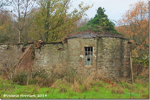 4-walled-garden