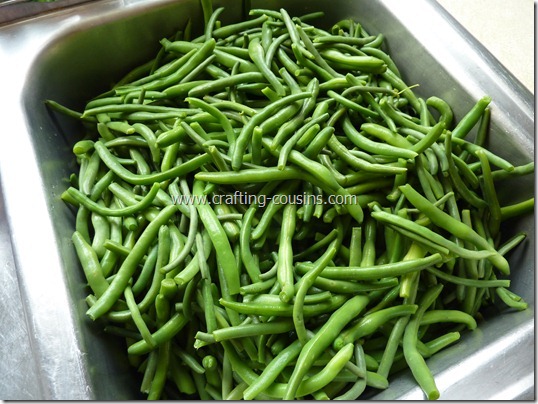 blanch and freeze green beans (48)