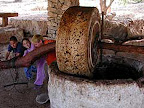 p1238559457(9).jpg