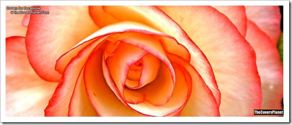 Peach-Rose-fb-covers