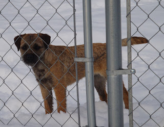 SHEA   February 2011