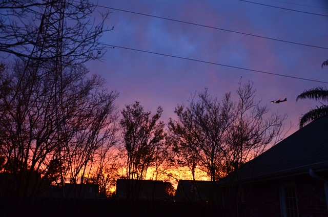 [DSC_00113.jpg]