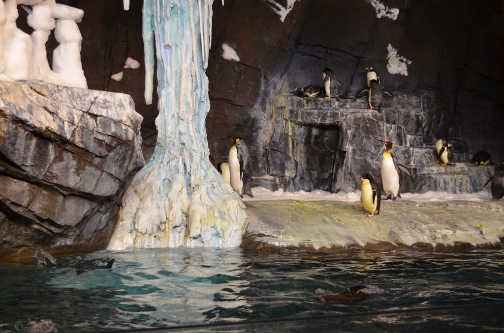 [DSC_8382%255B3%255D.jpg]