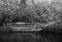 Across-the-Lake