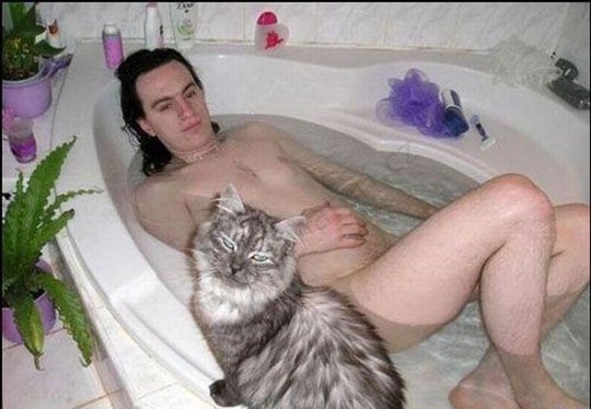 [strange-cats-expain-that-38%255B2%255D.jpg]