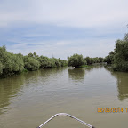 IMG_5233.JPG