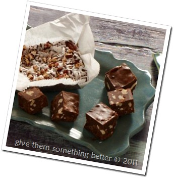 amazing fudge cropped