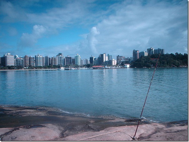 800px-DSC01528 800px-DSC01528