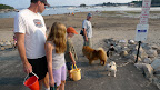 What?  No dogs on the beach?  I guess these rules are strictly enforced.  Maybe we should wander over to the yacht club.