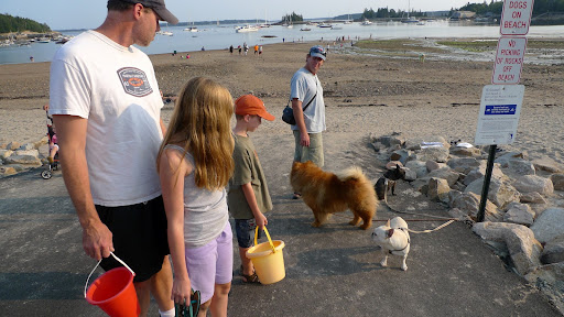 What?  No dogs on the beach?  I guess these rules are strictly enforced.  Maybe we should wander over to the yacht club.
