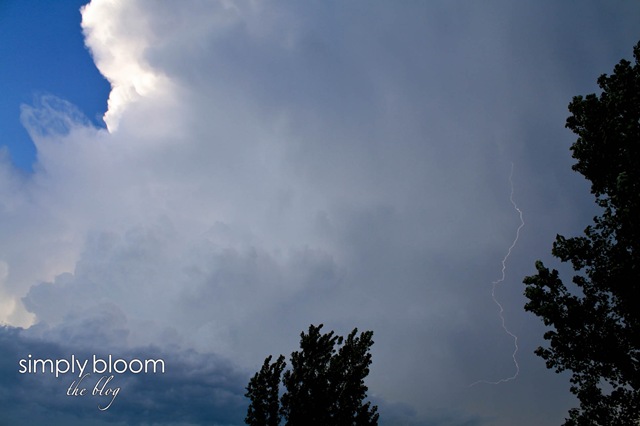[lightning%2520%25281%2520of%25201%2529%255B3%255D.jpg]
