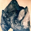 Rhino
