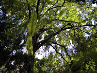 P5280780.JPG