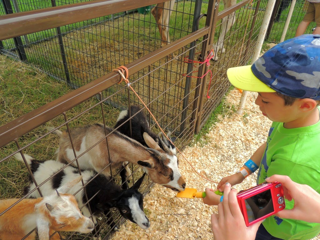 [DSCN9325%255B3%255D.jpg]