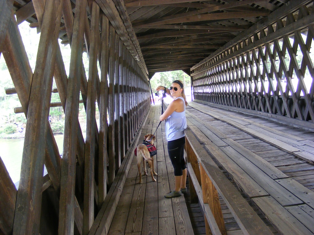[bridge%255B4%255D.jpg]