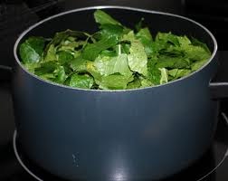 [turnip%2520greens%255B4%255D.jpg]