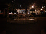 IMG00091-20090727-2205.jpg