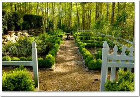 garden -