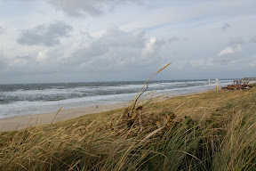 DSC_0097.JPG