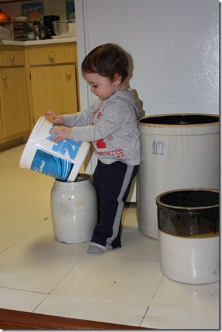 IMG_7458 IMG_7458