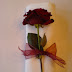 DSC00105.jpg
