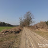 dsc06735.jpg