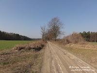 dsc06735.jpg