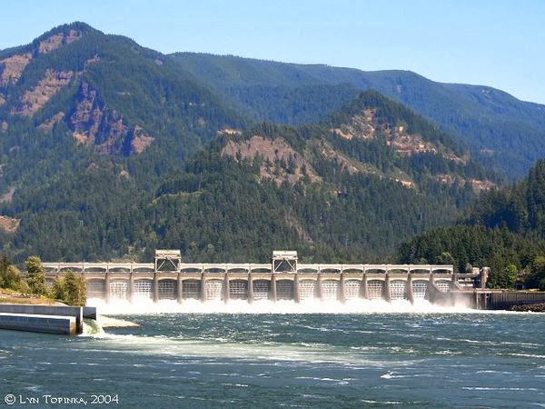Bonneville Dam (Orgeon) 海獅水上墳場 Bonneville Dam (Orgeon) 海獅水上墳場