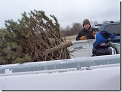 2011-12-17 cutting the tree 011