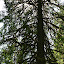 Olympic Peninsula